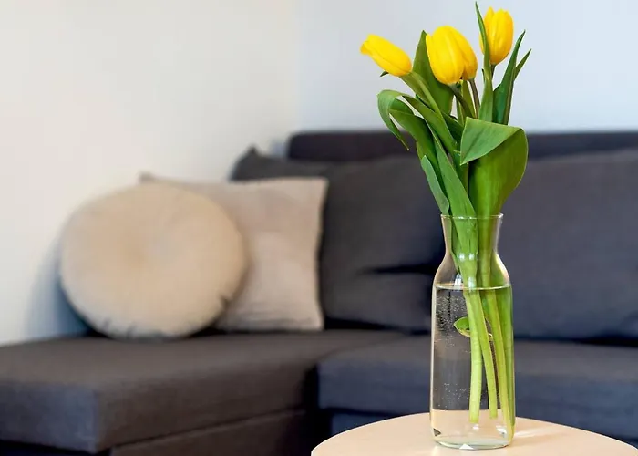 Apartament Nora - At The Danube *